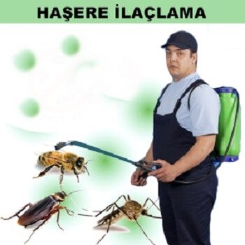 Polateli Böcek İlaçlama